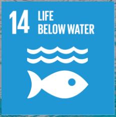 life below water